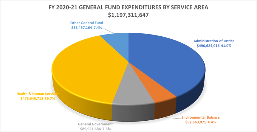 Fiscal Year 2020-2021 General Fund Expenditures by Service Area